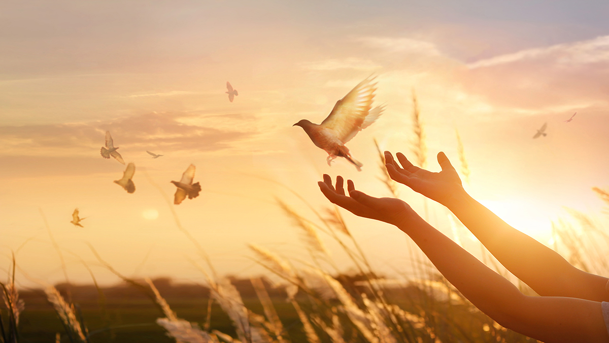 EĞİTİM Mİ TERBİYE Mİ?