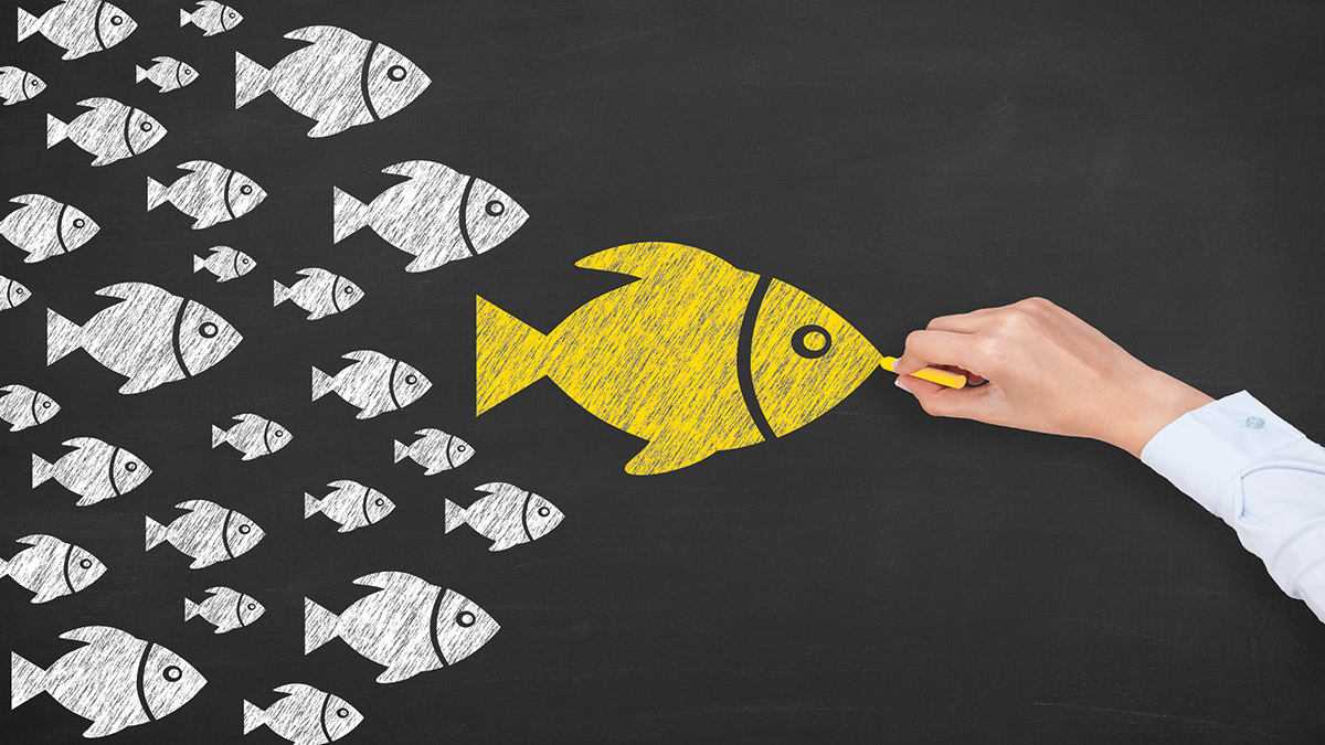 MÜDÜR MÜDÜR MÜDÜR ?