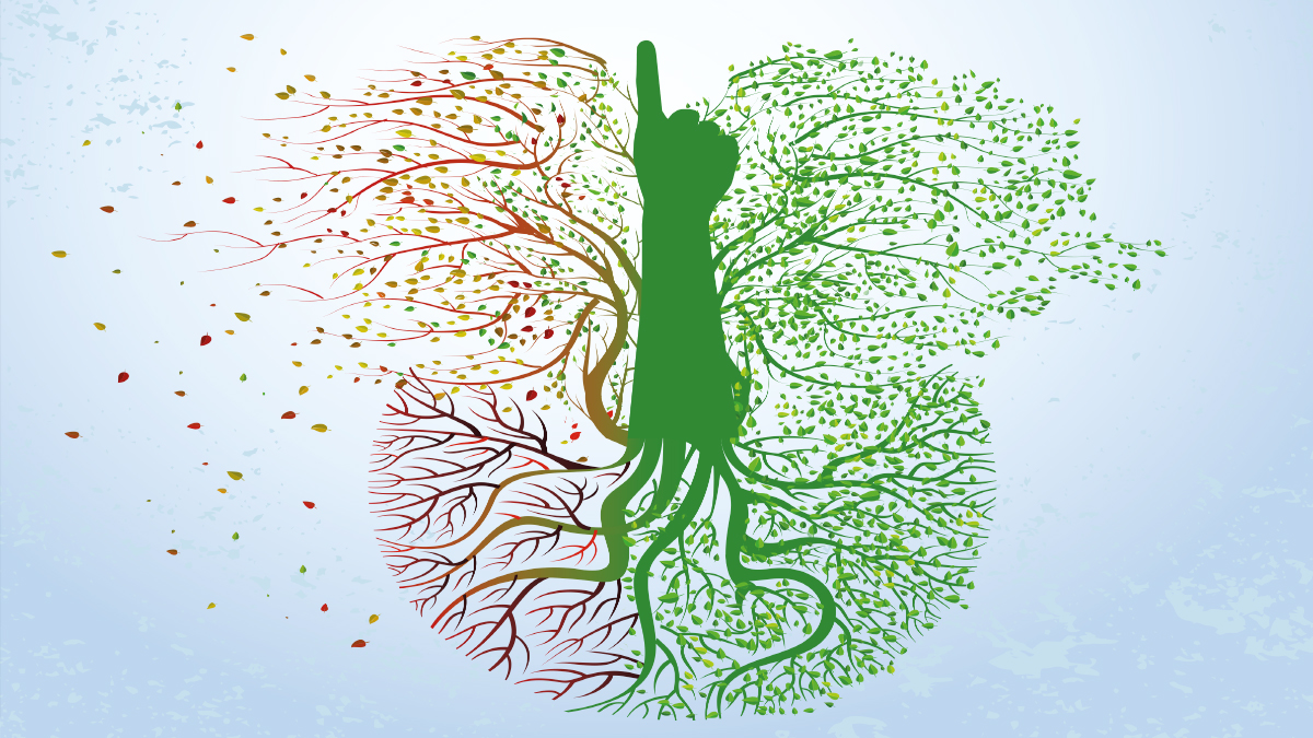 TEVHİD-İ TEDRİSAT YETMEZ TEVHÎDÎ TEDRİSAT GEREK