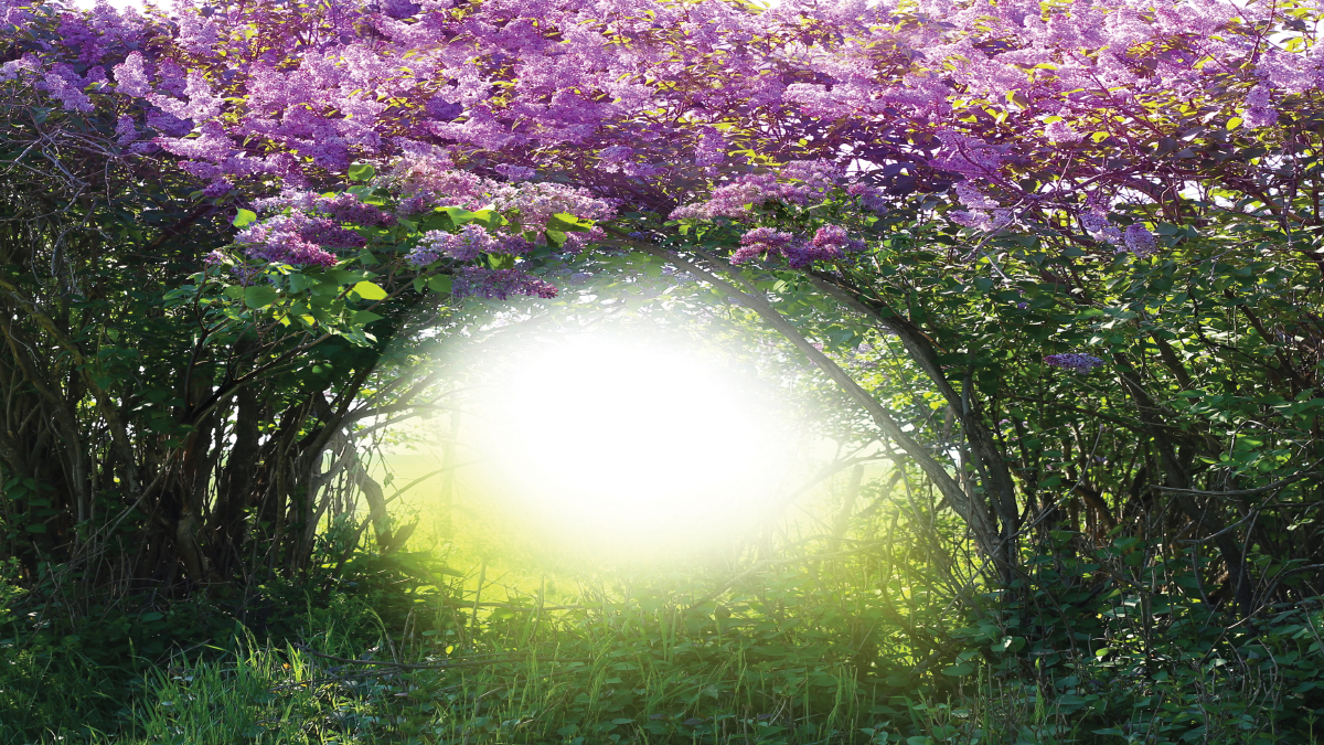 Yeniden Fetih İçin