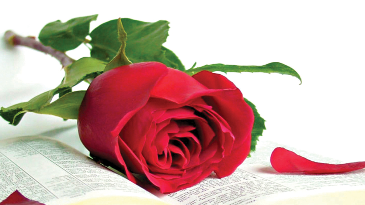 KUTLU DOĞUM PROGRAMLARI VE GAYE SAPMASI